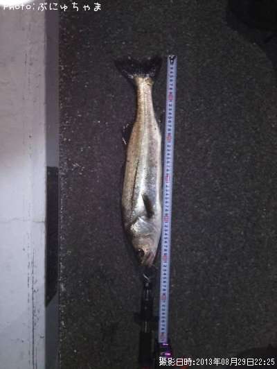 �����Х�