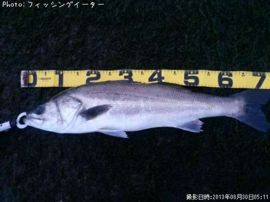 �����Х�