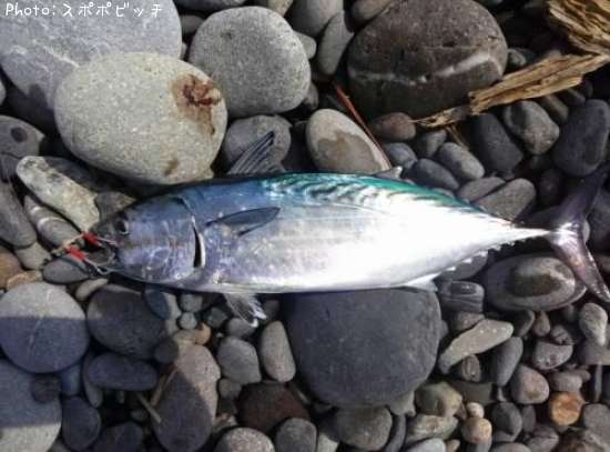 �ҥ饽����