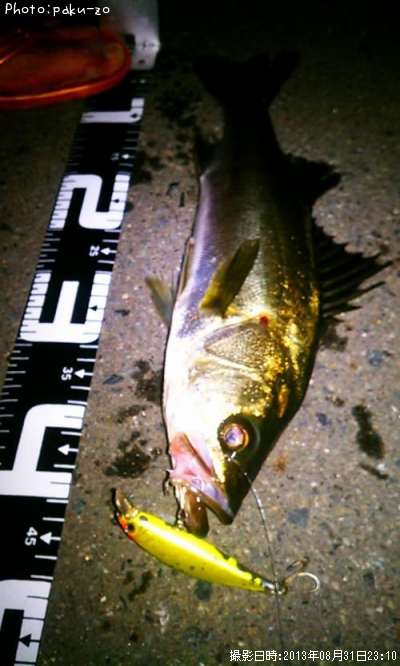 �����Х�