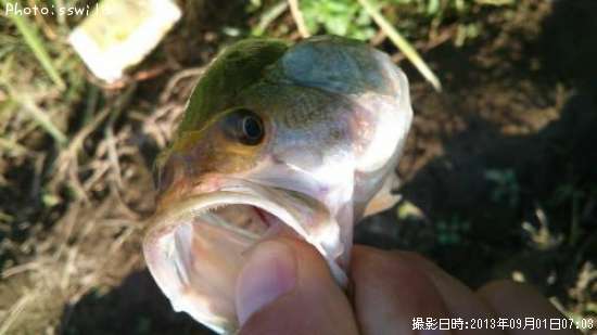 �֥�å��Х�