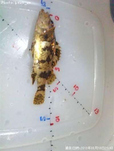 �����Υ���Х�