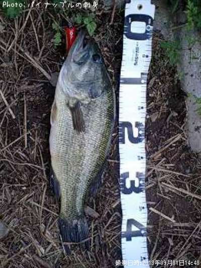 �֥�å��Х�