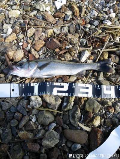 �����Х�