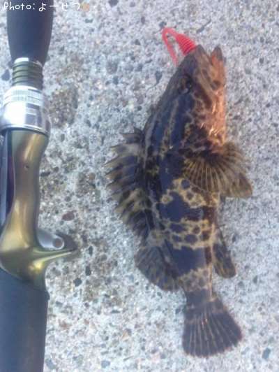 �����Υ���Х�