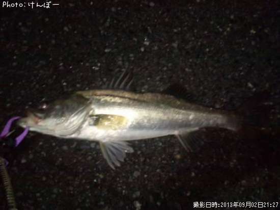 �����Х�