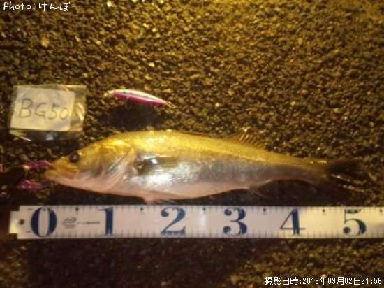 �����Х�