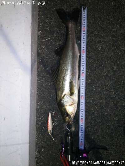 �����Х�