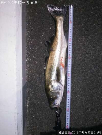 �����Х�