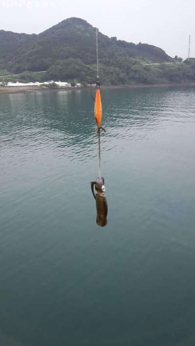 �����ꥤ��