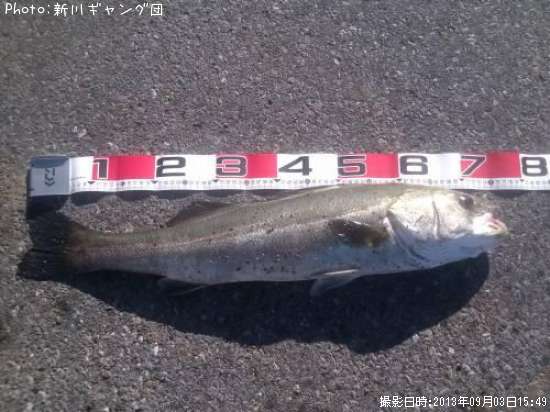 �����Х�