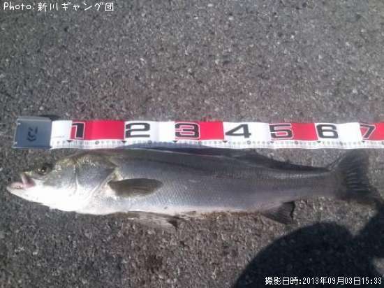 �����Х�