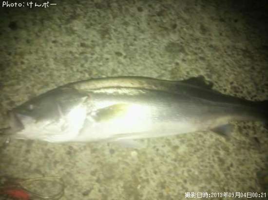 �����Х�