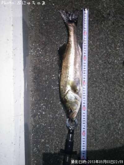 �����Х�