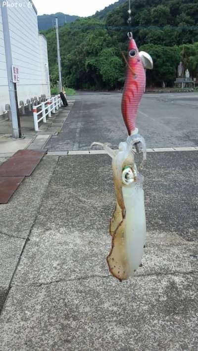 �����ꥤ��