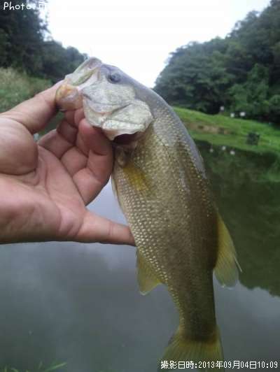 �֥�å��Х�