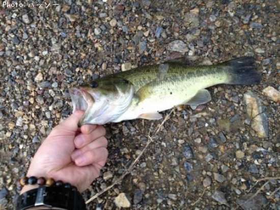 �֥�å��Х�