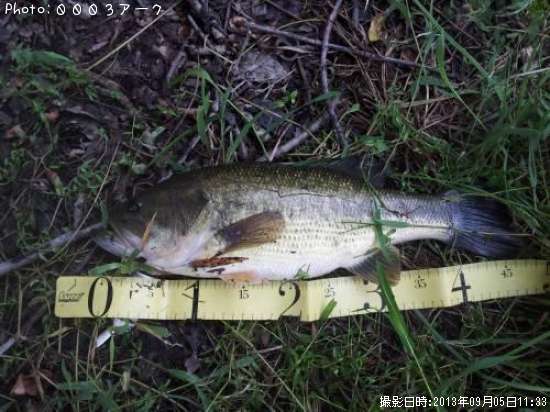 �֥�å��Х�