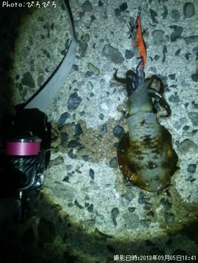 �����ꥤ��