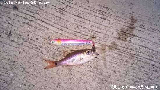 �ͥ�֥ĥ���