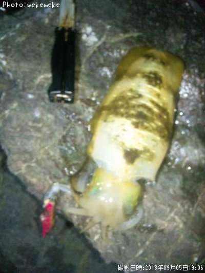 �����ꥤ��