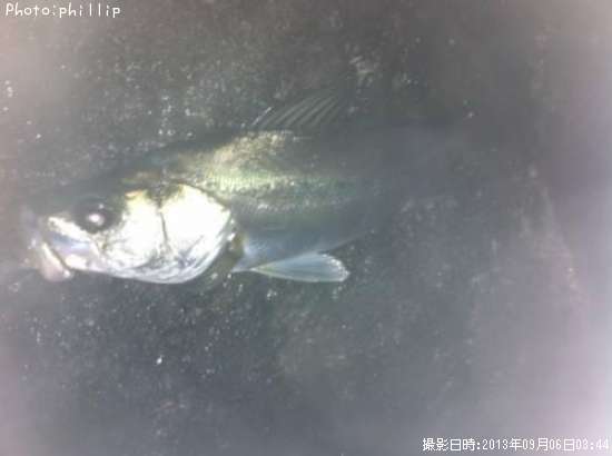 �����Х�