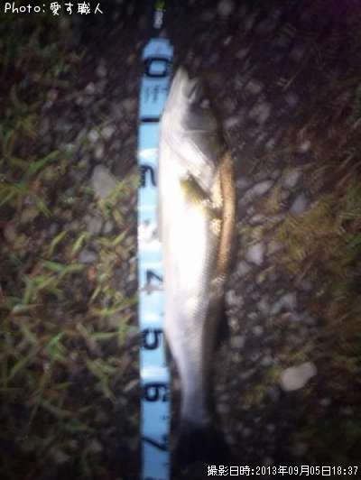 �����Х�