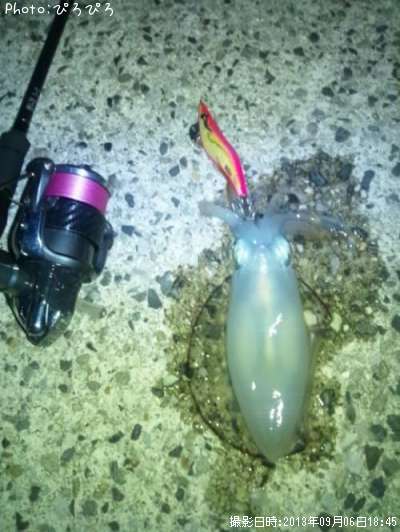 �����ꥤ��