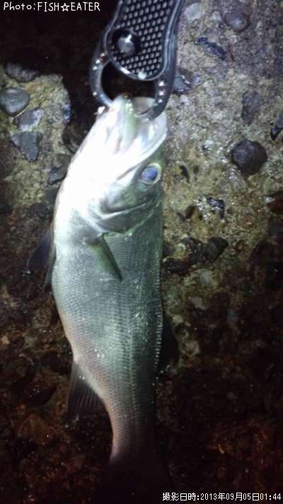 �����Х�