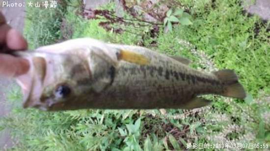 �֥�å��Х�