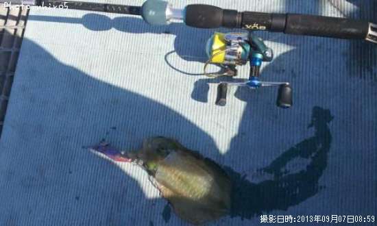 �����ꥤ��