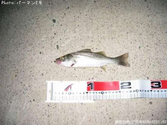 �����Х�