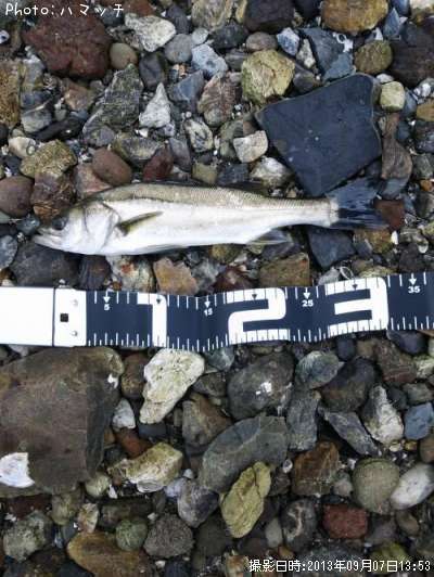 �����Х�