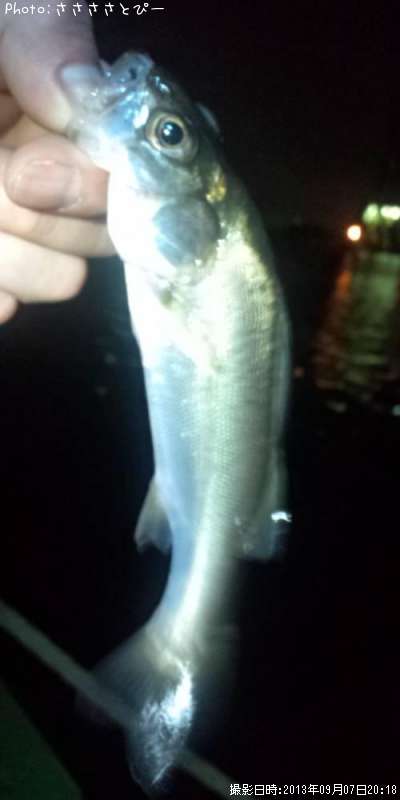 �����Х�