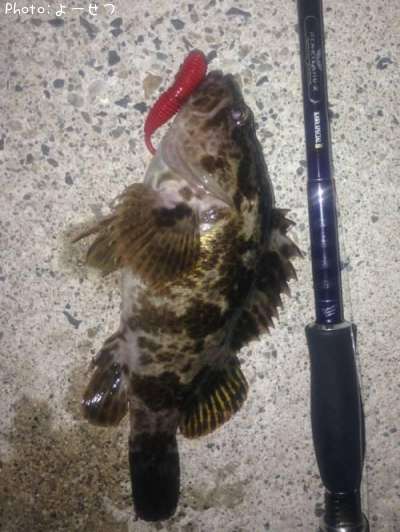 �����Υ���Х�