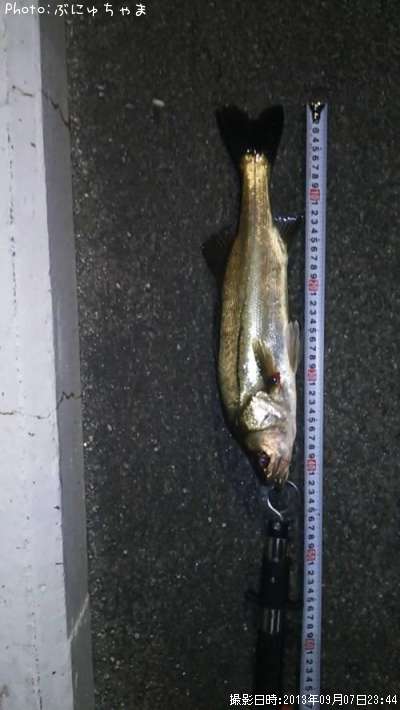 �����Х�