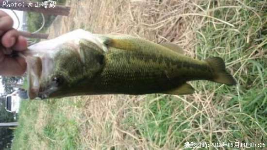 �֥�å��Х�