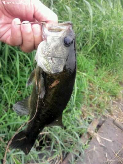 �֥�å��Х�