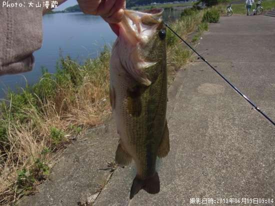 �֥�å��Х�