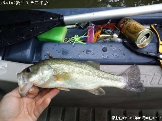 �֥�å��Х�