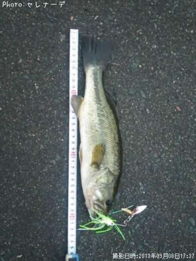 �֥�å��Х�