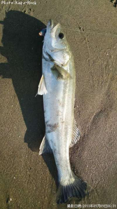 �����Х�