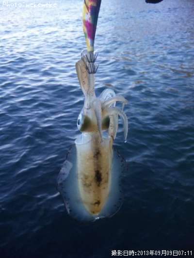 �����ꥤ��