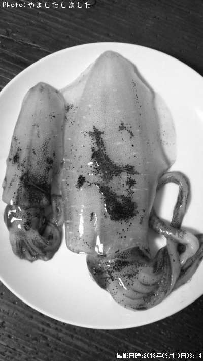 �����ꥤ��