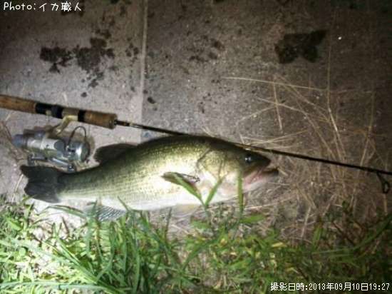 �֥�å��Х�