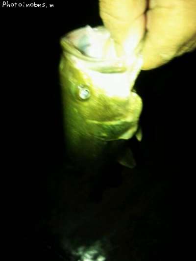 �֥�å��Х�