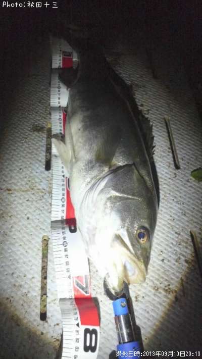 �����Х�