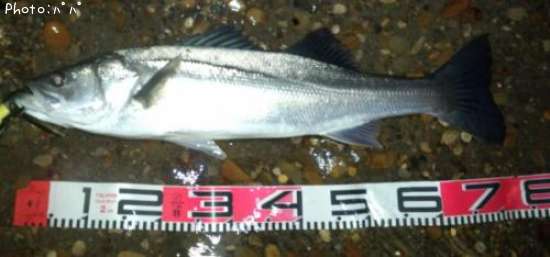 �����Х�