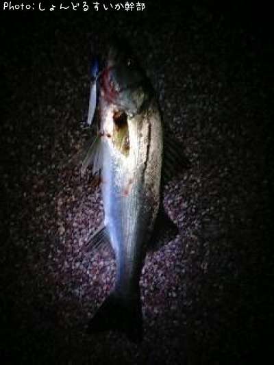 �����Х�