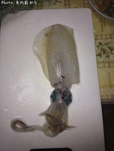 �����ꥤ��